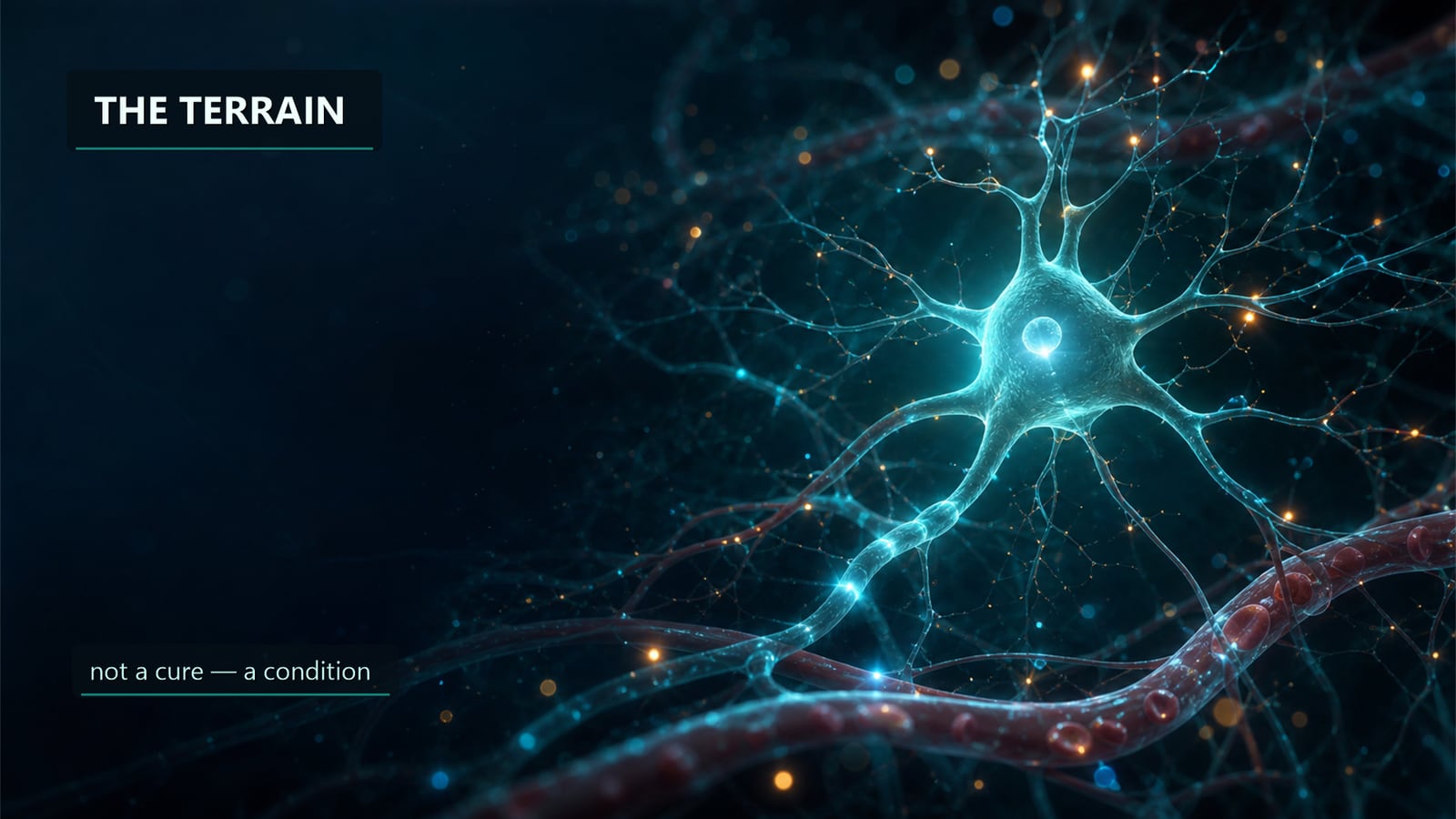 Illustration — tending the terrain neurons live in