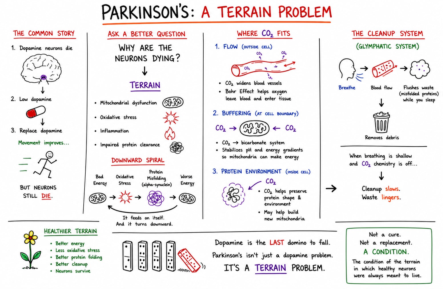 Whiteboard summary — Parkinson's as a terrain problem, not just a dopamine shortage