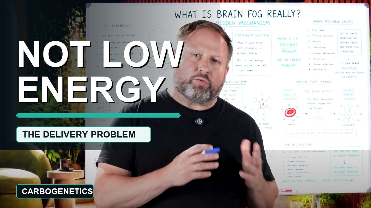 Brain fog as a delivery problem — the gap between oxygen supply and oxygen delivery
